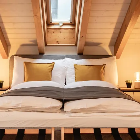 Spirit - The Penthouse - View - Parking * Brienz (Bern)